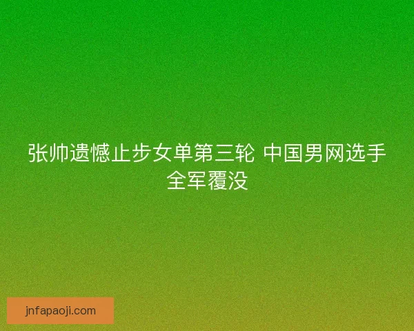 张帅遗憾止步女单第三轮 中国男网选手全军覆没